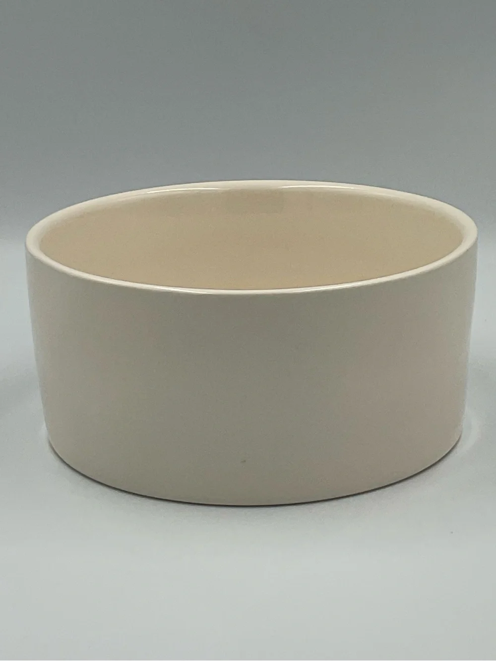 Rae Dunn “SPOILED” Ceramic Pet Bowl